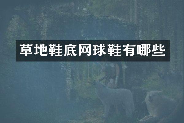 草地鞋底网球鞋有哪些