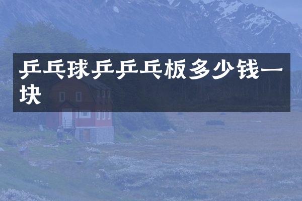 乒乓球乒乒乓板多少钱一块