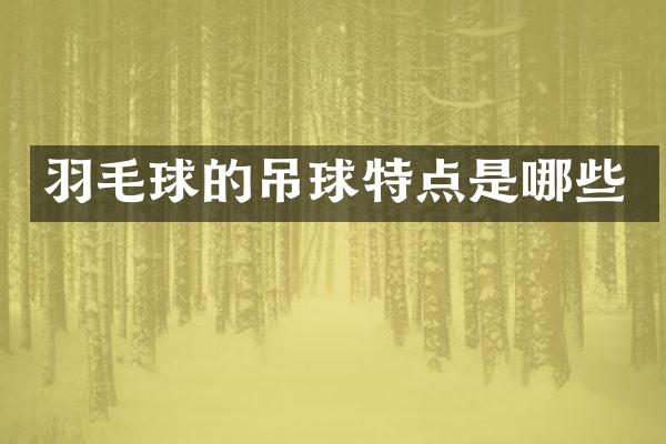 羽毛球的吊球特点是哪些