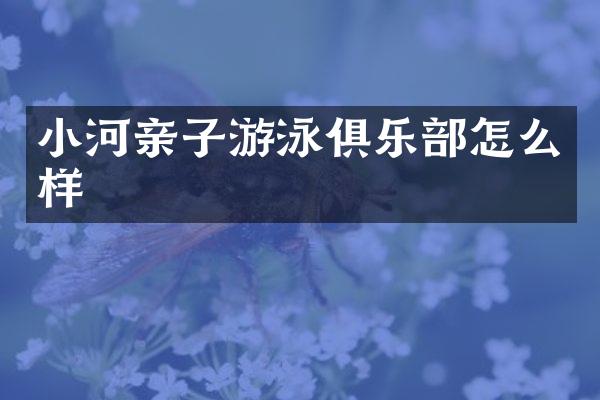 小河亲子游泳俱乐部怎么样