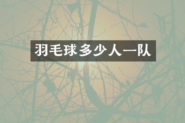 羽毛球多少人一队