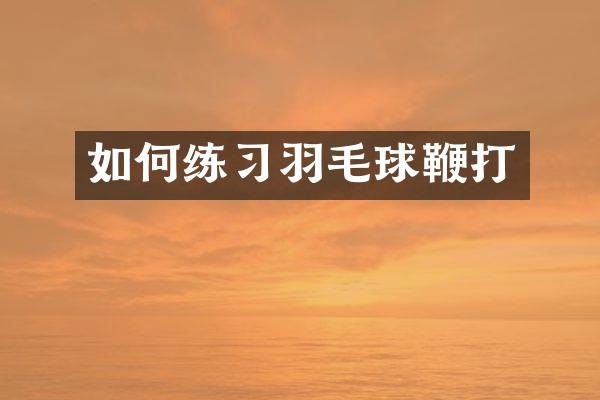 如何练习羽毛球鞭打