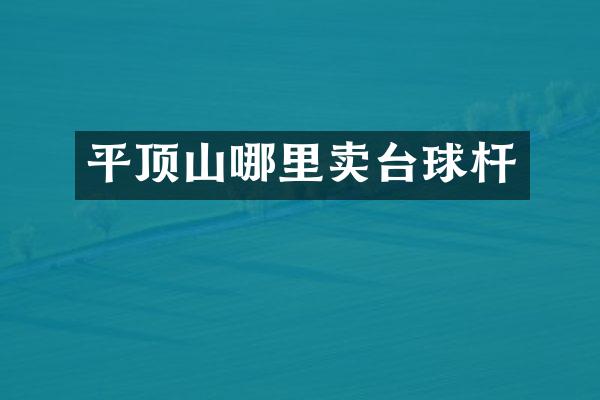 平顶山哪里卖台球杆