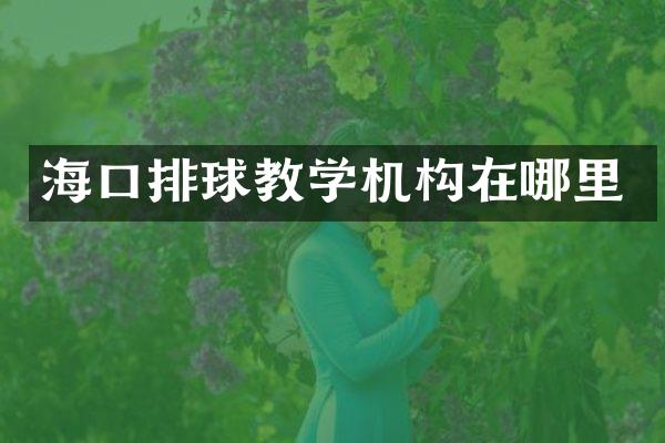 海口排球教学机构在哪里