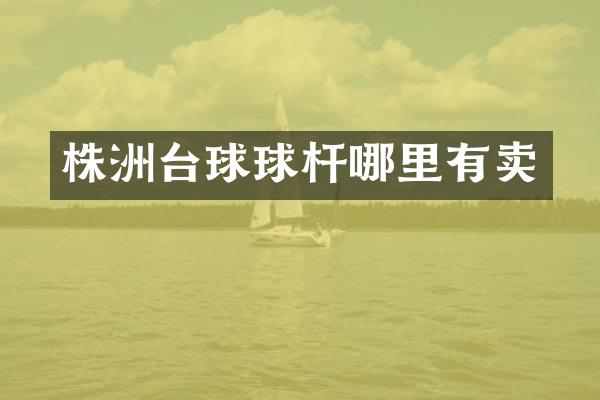 株洲台球球杆哪里有卖
