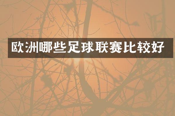 欧洲哪些足球联赛比较好