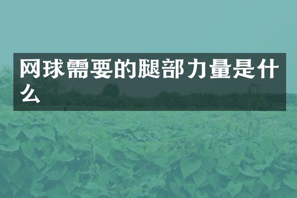 网球需要的腿部力量是什么