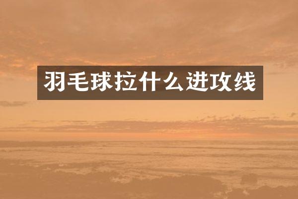 羽毛球拉什么进攻线