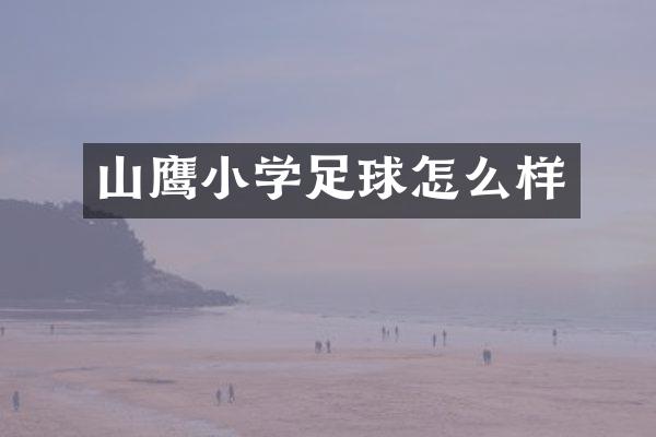 山鹰小学足球怎么样