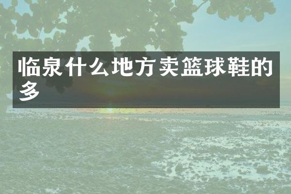 临泉什么地方卖篮球鞋的多