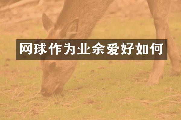 网球作为业余爱好如何