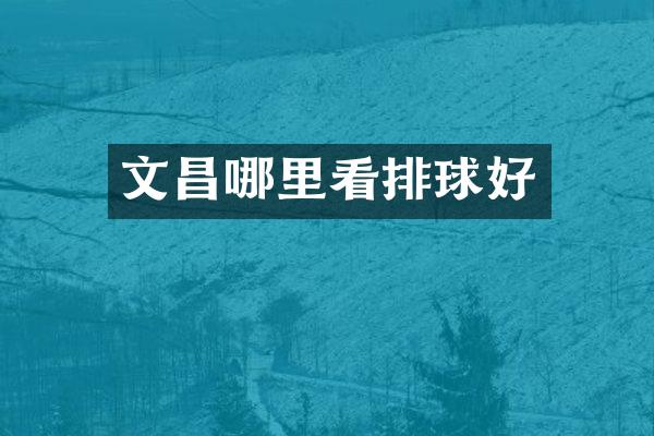 文昌哪里看排球好