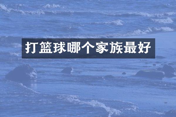 打篮球哪个家族最好