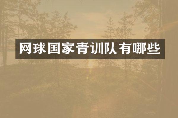 网球国家青训队有哪些