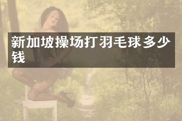 新加坡操场打羽毛球多少钱