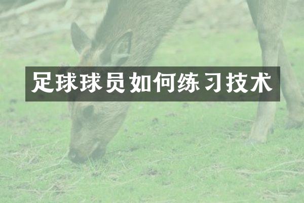 足球球员如何练习技术