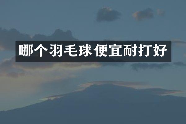 哪个羽毛球便宜耐打好