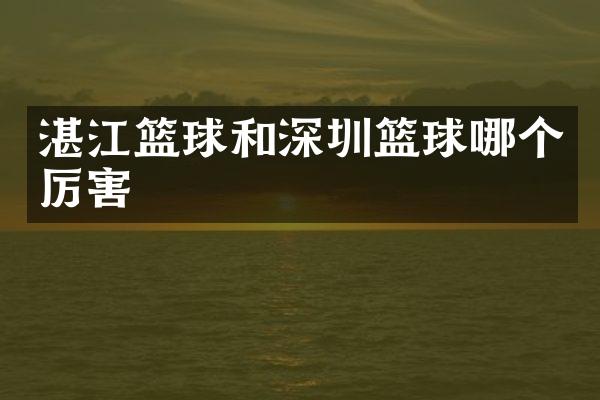 湛江篮球和深圳篮球哪个厉害