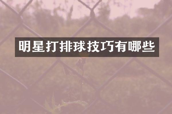 明星打排球技巧有哪些