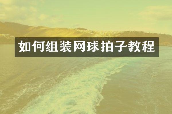 如何组装网球拍子教程