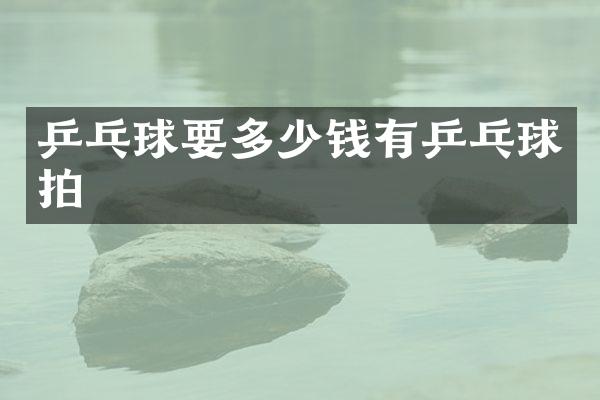 乒乓球要多少钱有乒乓球拍