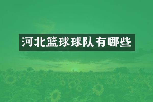 河北篮球球队有哪些