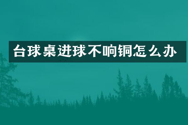 台球桌进球不响铜怎么办