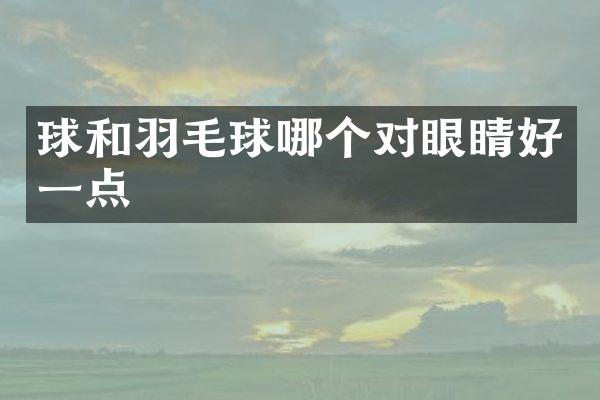 球和羽毛球哪个对眼睛好一点