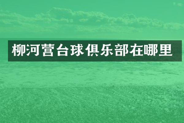 柳河营台球俱乐部在哪里