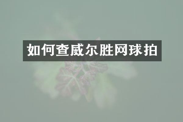 如何查威尔胜网球拍