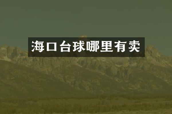 海口台球哪里有卖