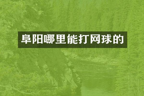 阜阳哪里能打网球的