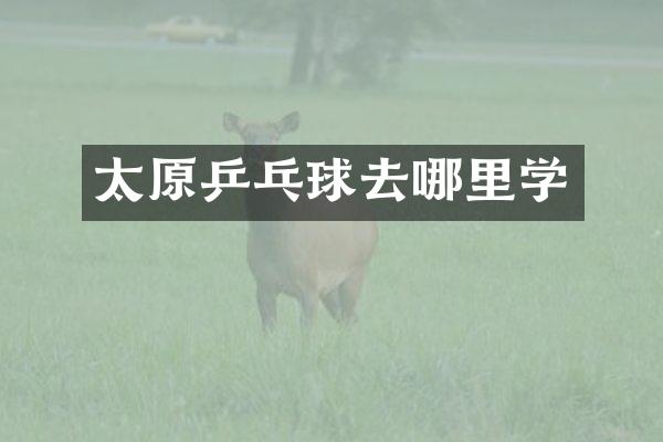 太原乒乓球去哪里学