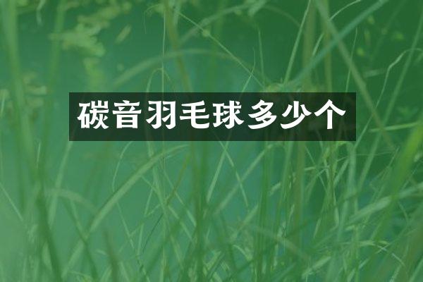 碳音羽毛球多少个