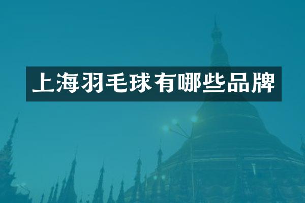 上海羽毛球有哪些品牌