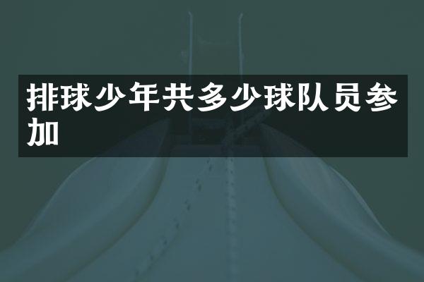 排球少年共多少球队员参加