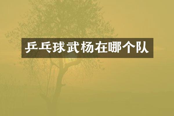乒乓球武杨在哪个队