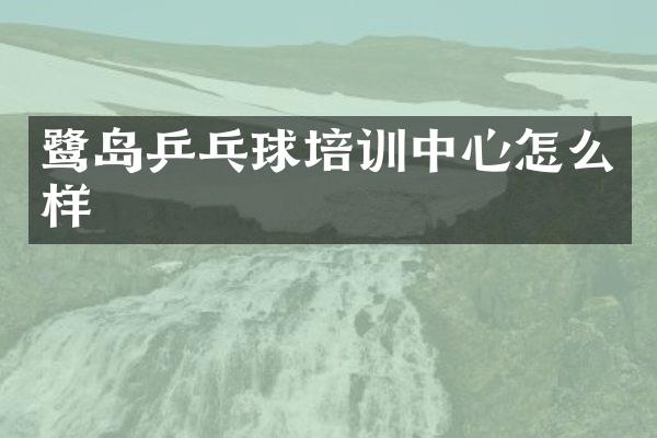 鹭岛乒乓球培训中心怎么样