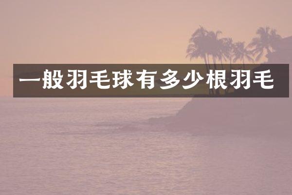 一般羽毛球有多少根羽毛