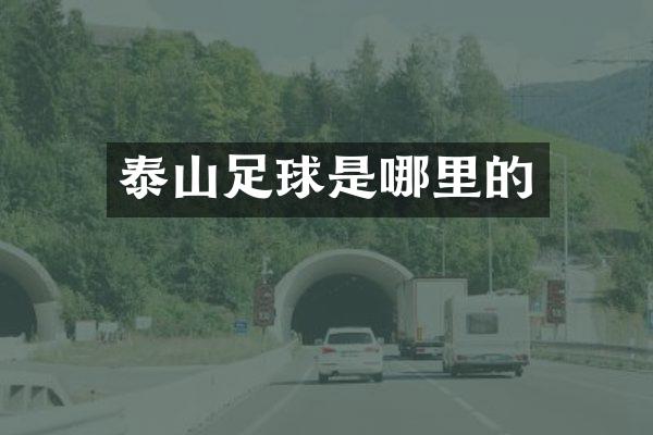 泰山足球是哪里的