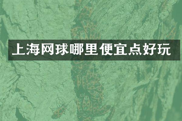 上海网球哪里便宜点好玩