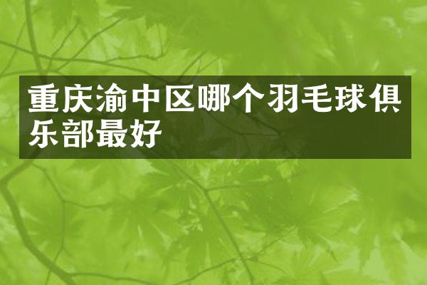 重庆渝中区哪个羽毛球俱乐部最好
