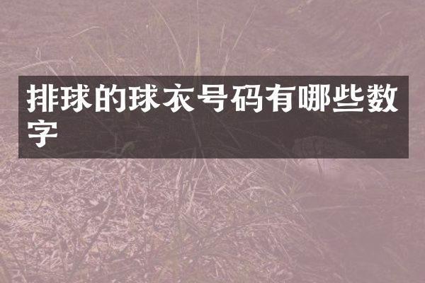 排球的球衣号码有哪些数字