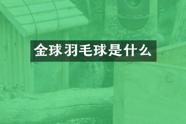 金球羽毛球是什么