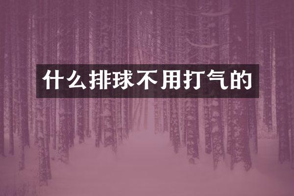 什么排球不用打气的