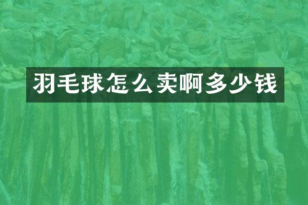 羽毛球怎么卖啊多少钱