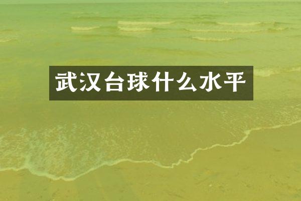 武汉台球什么水平