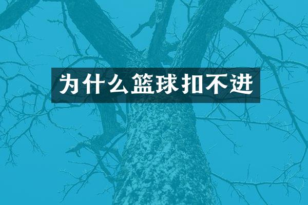 为什么篮球扣不进