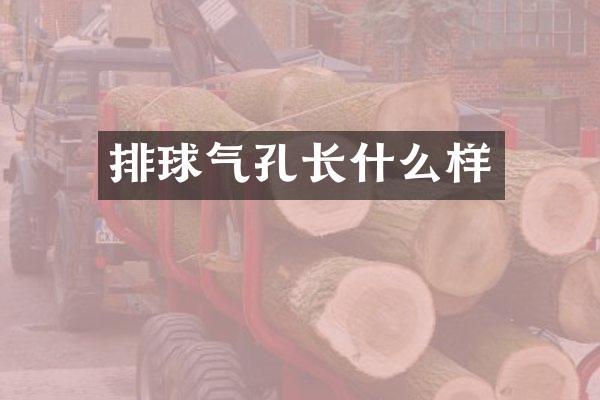 排球气孔长什么样