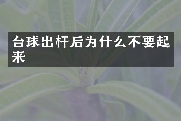 台球出杆后为什么不要起来